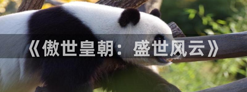 高德娱乐