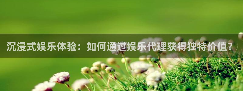 高德娱乐