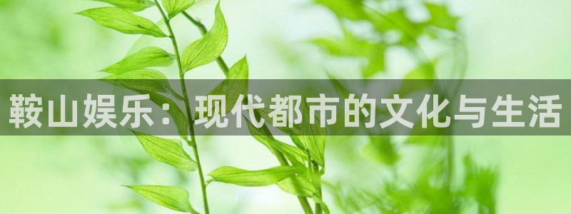 高德娱乐