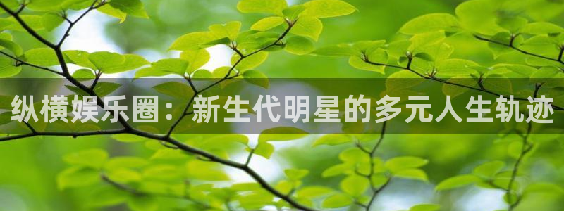 高德娱乐